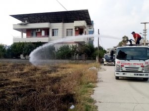 Mahalle Arasındaki Otluk Alanda Çıkan Korkuttu