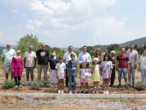 Köy Yaşam Merkezinde Lavanta Hasadı Yapıldı