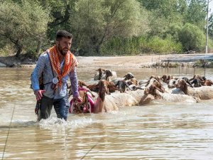 8 Asırlık Geleneğe Şap Engeli