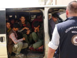 Van’da 10 Kişilik Minibüste 20 Düzensiz Göçmen Yakalandı