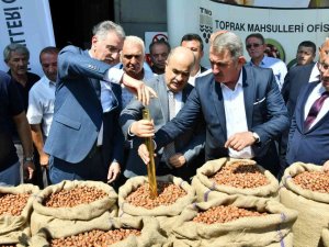 Sezonun İlk Fındığı Tmo Tarafından 56 Tl 10 Kuruştan Alındı