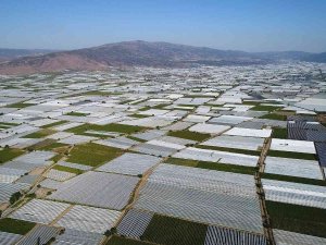 Sarıgöl Ovası Beyaza Büründü