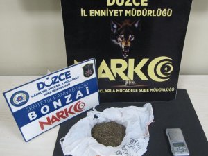 Düzce’de Torbacı Operasyonu