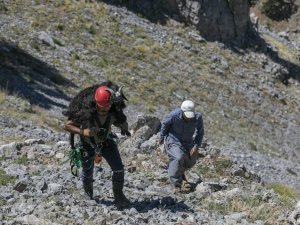 3 Gün Yamaçta Mahsur Kalan Keçiyi İtfaiye Ekipleri Kurtardı