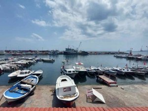 Eylül’e Sayılı Günle Kaldı: Palamut Bolluğu Bekleniyor