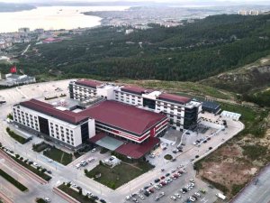 Çanakkale’de Kene Tarafından Isırılan Kişi Sağlığına Kavuştu