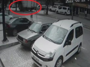 Bursa’da 70 Yıllık Tarihi Çınar Kamyonun Çarpmasıyla Devrildi