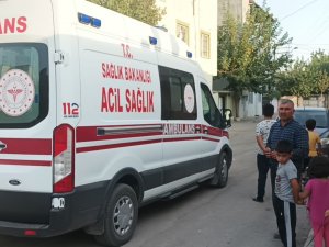 Kediye Çarpmamak İçin Park Halindeki Otomobile Çarptı