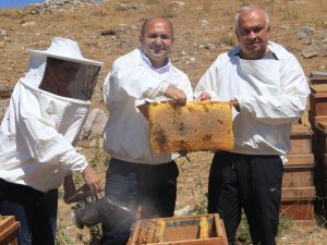 Petekler Balla Doldu, Üreticinin Yüzü Güldü