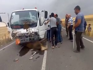 Sürücüsünün Direksiyon Hakimiyetini Kaybettiği Tanker, Büyükbaş Hayvan Sürüsüne Daldı: 18 Hayvan Telef Oldu