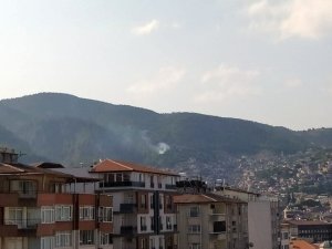 Hatay’da Çıkan Orman Yangını Kontrol Altına Alındı