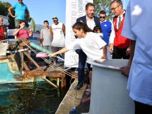 Köyceğiz Gölü’ne 260 Bin Sazan Bırakıldı