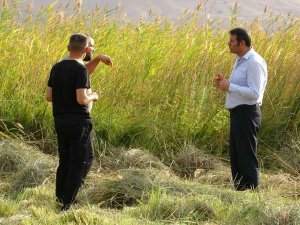 ‘Kuş Cenneti’ Nehil Sazlığı İçin Sıkı Tedbir