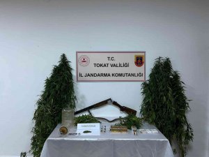 Tokat’ta Kenevir Operasyonu
