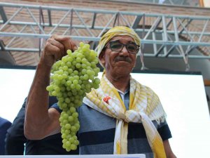 Sezonun İlk Kuru Üzümüne Rekor Fiyat