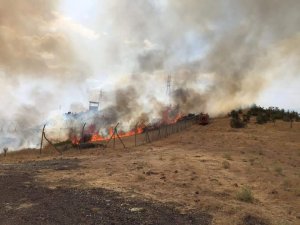 Bingöl’deki Orman Yangını Söndürüldü
