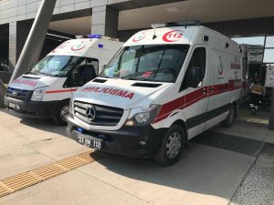 Bahçe Sularken Karşılaştıkları Ayıdan Kaçan 2 Kuzen Yaralandı