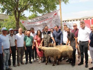 Genç Çiftçiler Devletten Aldıkları Destekle Küçükbaş Hayvan Sahibi Oldu