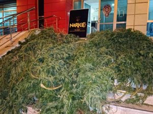 Dalaman Polisinden Seraya Uyuşturucuya Baskını