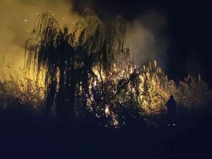 İ̇znik Gölü’nde Korkutan Yangın