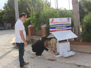 Kaymakam Ateş Yeni Görev Yerine Giderken Can Dostları Unutmadı