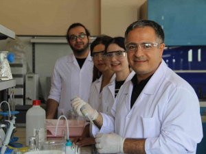 Deniz Marulundan Hidrojen Ürettiler