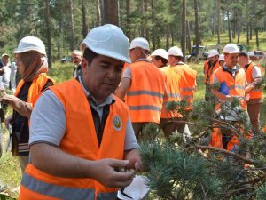 Sarıkamış’ta "Silvikültürel Uygulamaları” Eğitimi