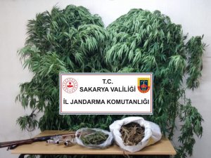 Uyuşturucu Tacirlerine Jandarma Engeli: 5 Gözaltı
