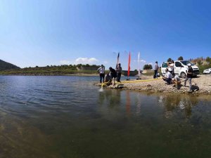 Çanakkale’de Baraj Ve Göletlere 1 Buçuk Milyon Sazan Balığı Yavrusu Bırakıldı