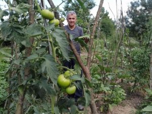 Milyonluk Binaların Arasına Hobi Bahçesi Kurdu, Kışlık İhtiyacını Karşılıyor