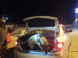 Gölbaşı’nda Uyuşturucu Denetimi Yapıldı
