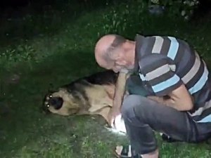 Çocukların Gözü Önünde Köpeği Vurdu