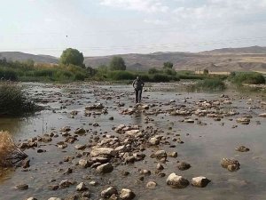 Debisi Hiç Bu Kadar Düşmemişti, Yaya Olarak Karşıdan Karşıya Geçti