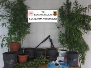 Jandarma Uyuşturucuya Geçit Vermiyor: 1 Gözaltı