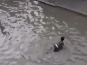 İ̇zmir’de Göle Dönen Sokakta Çocuklar Yüzdü
