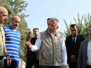 Şırnak’ta 5 Yılda 249 Tür Yaban Hayvanı Tedavi Edildi