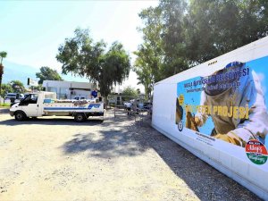 Bal Petekleri Eksi 30 Derecede Şoklanıyor