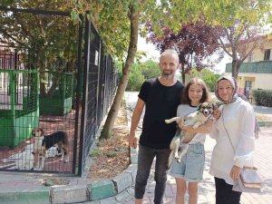 Osmangazi’de 3 Can Dosta Sıcak Yuva