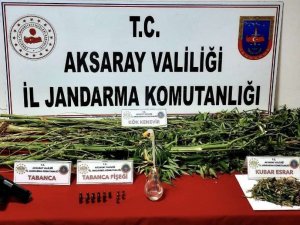 Jandarmadan Uyuşturucu Operasyonu: 2 Gözaltı
