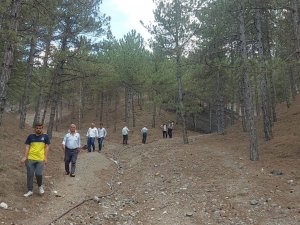 Tosya Gavur Dağ Bölgesinde Orman Yangını