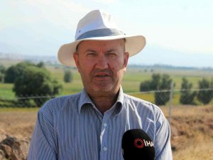 3 Bin Yıl Önce De Festival Varmış