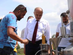 Tıbbi Aromatik Bitkiler Ekonomiye Kazandırılıyor