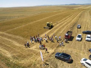 Eskişehir’de ‘İ̇yi Tarım Sertifikalı’ Çörekotu Üretildi