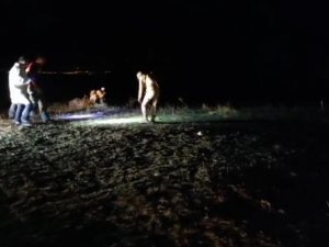 Muradiye’de Çoban Arazide Ölü Bulundu, 3 Kişi Gözaltına Alındı