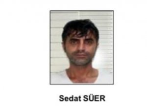 Pkk’dan Ayrılmak İsteyen Örgüt Mensupları İnfaz Ediliyor