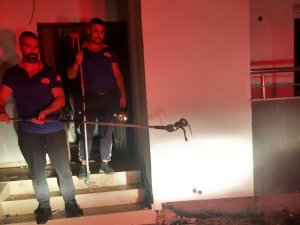 Osmaniye’de Eve Giren Yılanı İtfaiye Yakaladı
