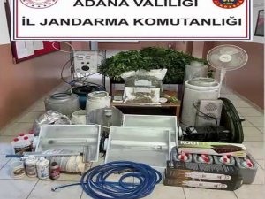 Kaçak Elektrikle Uyuşturucu Yetiştiren 2 Kişi Gözaltına Alındı