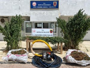 Jandarma 16 Kilogram Esrar Ele Geçirdi