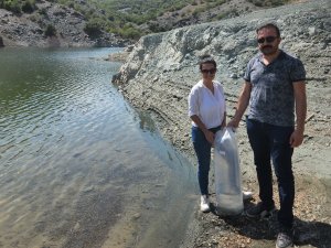 Sungurlu’da Gölete Sazan Yavrusu Bırakıldı