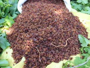 Tari̇ş, Tmo İle İş Birliğine Hazır